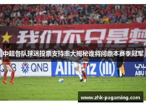 中超各队球迷投票支持率大揭秘谁将问鼎本赛季冠军