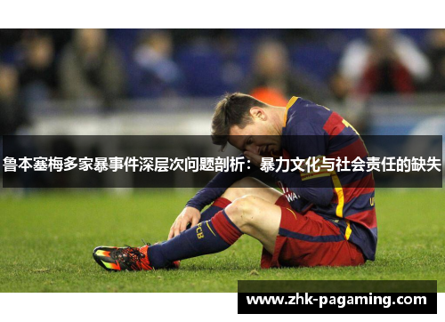 鲁本塞梅多家暴事件深层次问题剖析：暴力文化与社会责任的缺失