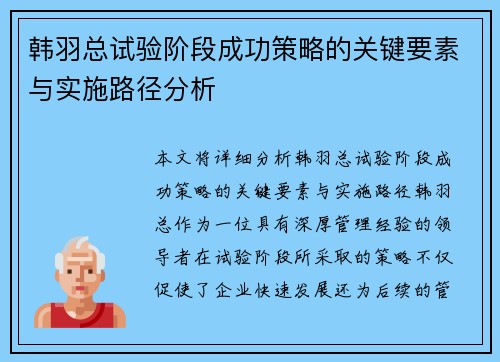 韩羽总试验阶段成功策略的关键要素与实施路径分析