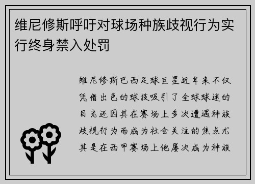 维尼修斯呼吁对球场种族歧视行为实行终身禁入处罚