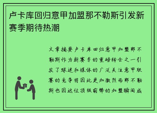 卢卡库回归意甲加盟那不勒斯引发新赛季期待热潮