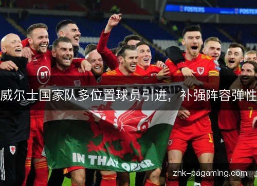 威尔士国家队多位置球员引进,补强阵容弹性 威尔士国家队多位置球员引进,补强阵容弹性
